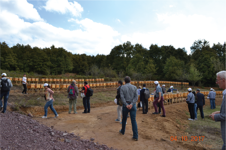 A technical tour during Apimondia visit. Bee hives set out for visitors.