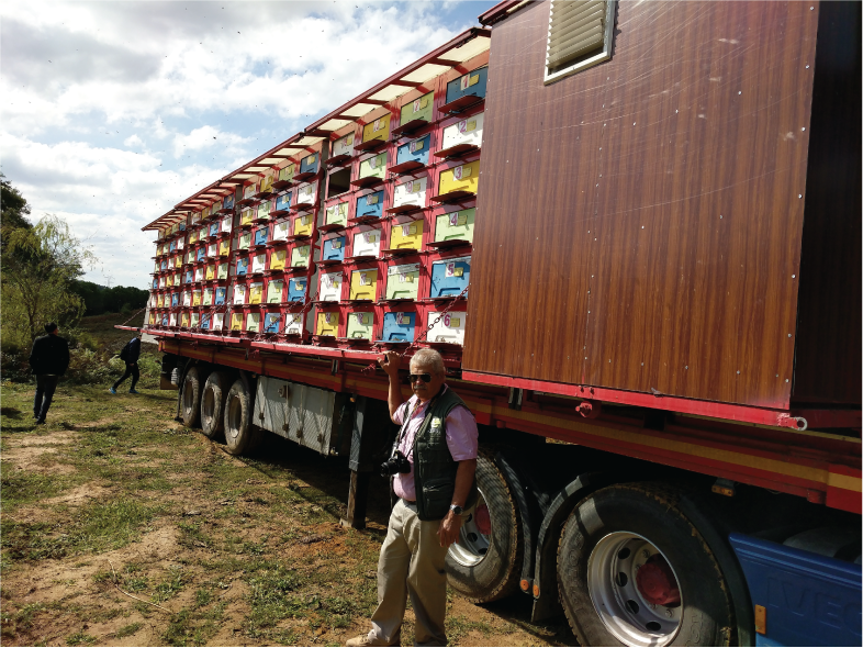 A mobile truck with semi-trailer fitted with 192 bee hives for pollination services.