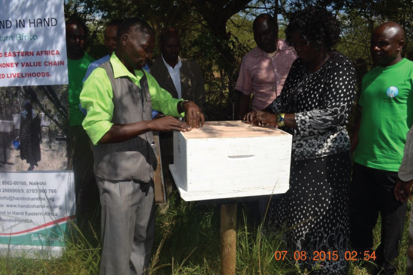 Setting up the beehives during pilot launch