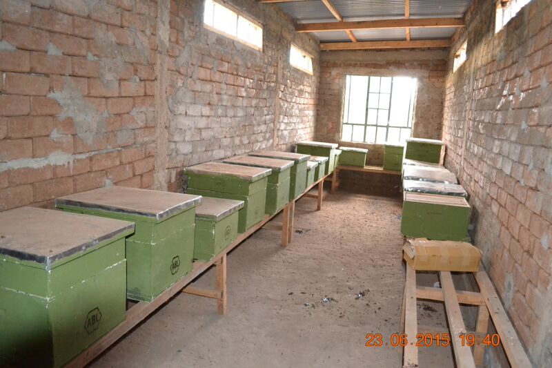 Langstroth beehives protected inside a secure bee house