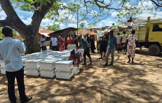 Delivering and issuing the first batch of NatureKenya / African Beekeepers partnership project bee hives in the Tana Delta