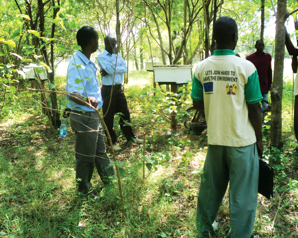 Community members working with beehives