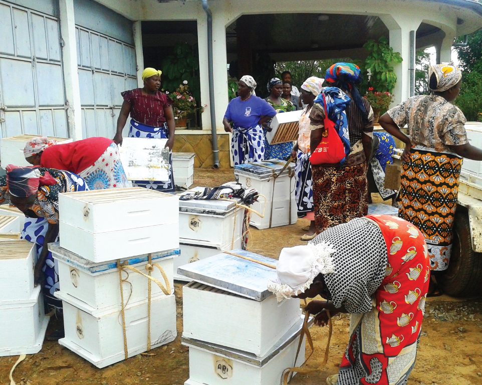 Beekeeping equipment and hives being prepared